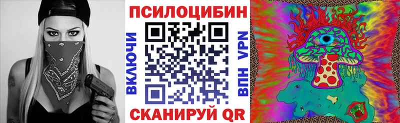 наркотики  Никольск  Псилоцибиновые грибы MAGIC MUSHROOMS 